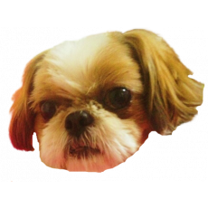 상품1